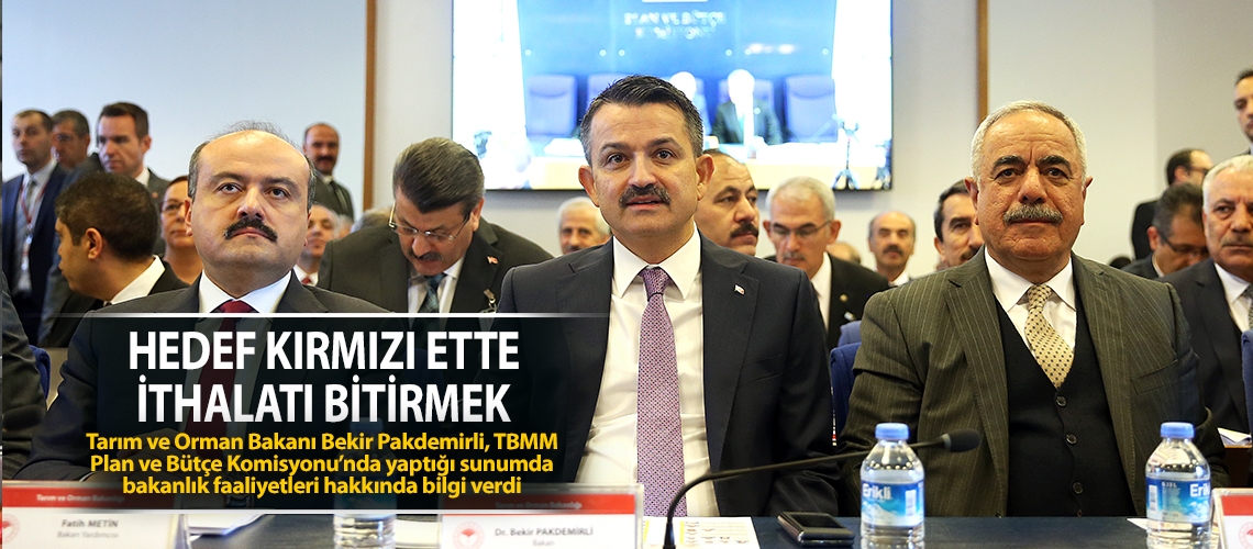 Hedef kırmızı ette ithalatı bitirmek