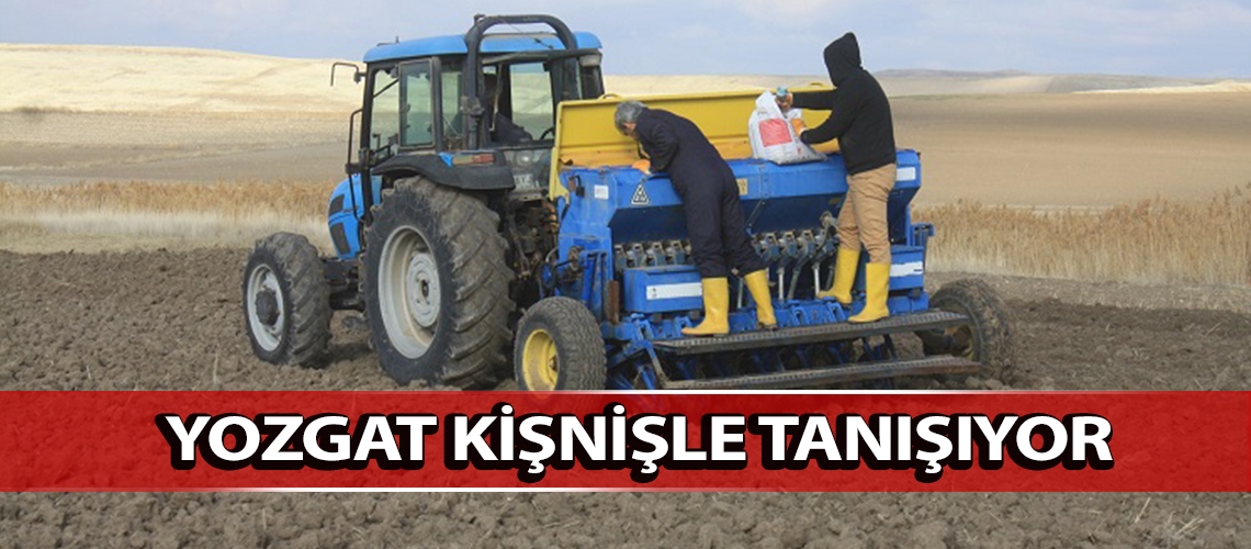 Yozgat kişnişle tanışıyor