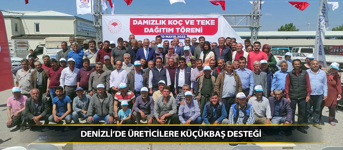 Denizli’de üreticilere küçükbaş desteği