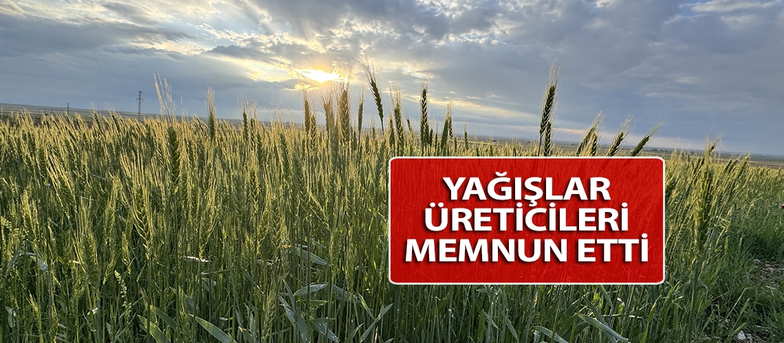 Yağışlar üreticileri memnun etti