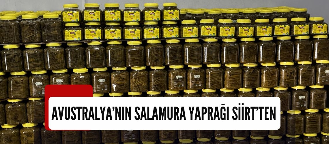 Avustralya’nın salamura yaprağı Siirt’ten