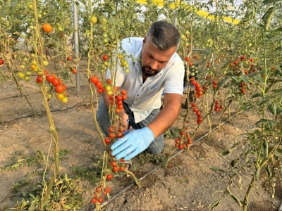 Destekle kurdu, istihdam sağladı