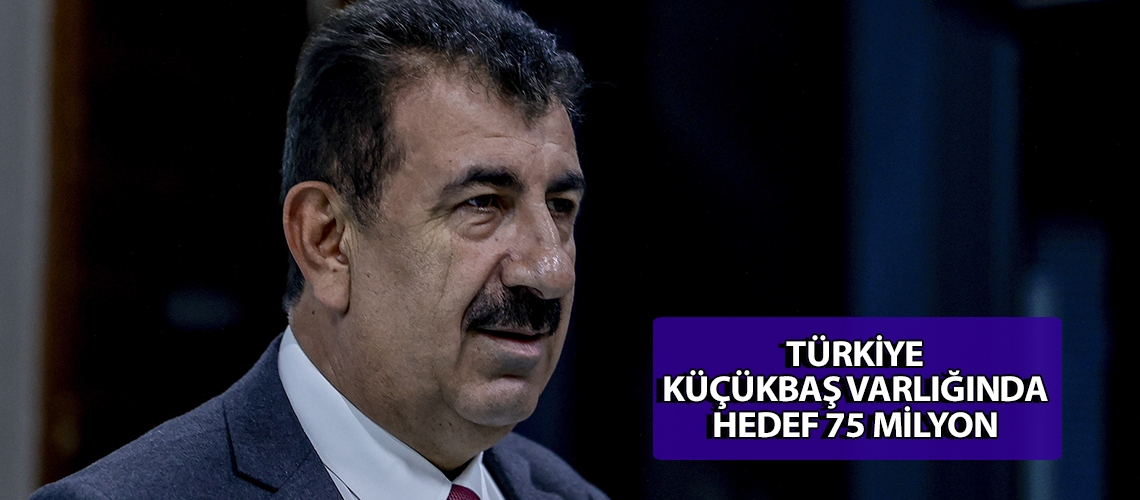 Türkiye küçükbaş varlığında hedef 75 milyon