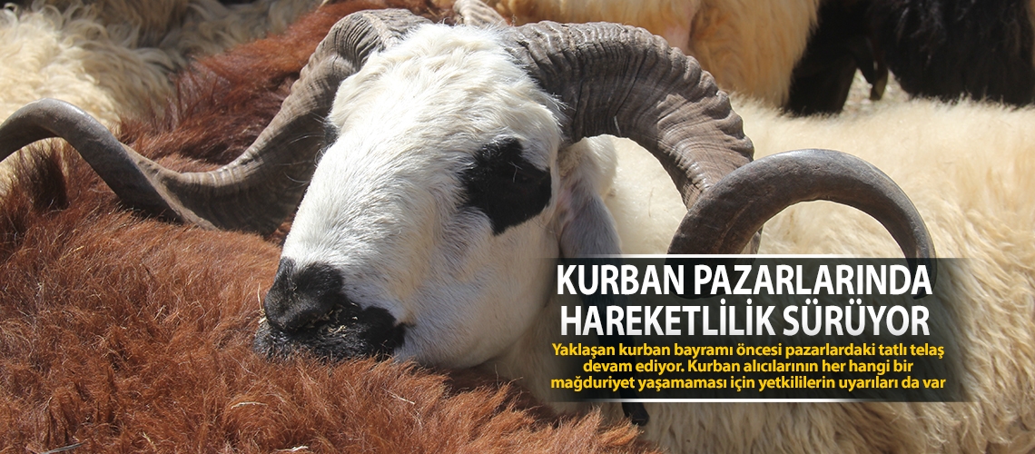 Kurban pazarlarında hareketlilik sürüyor