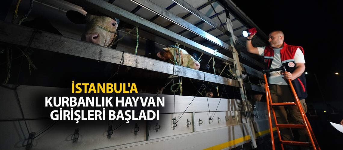 İstanbul'a kurbanlık hayvan girişleri başladı