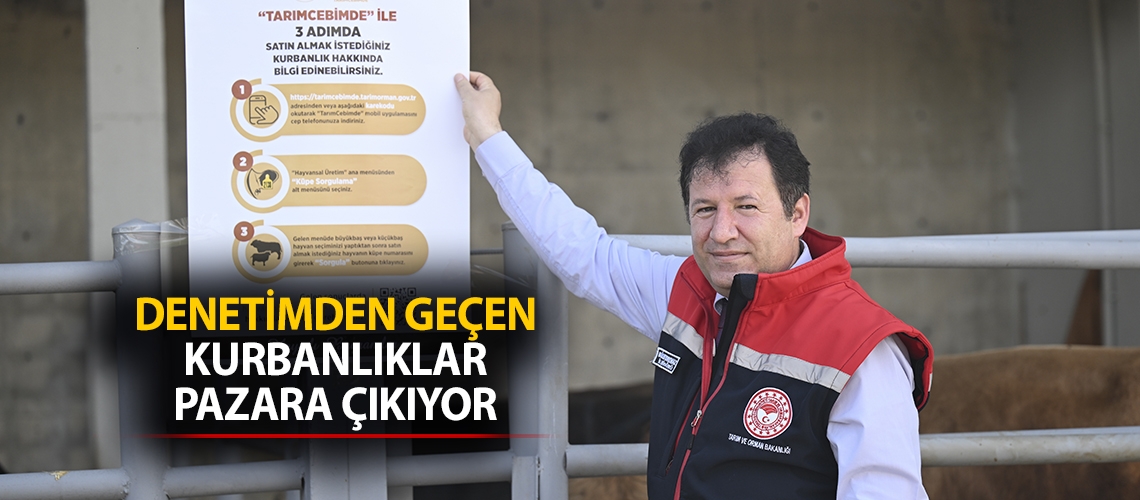 Denetimden geçen kurbanlıklar pazara çıkıyor