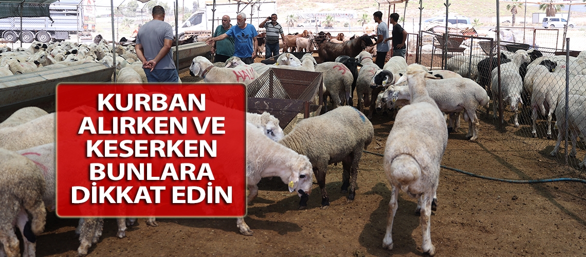 Kurban alırken ve keserken bunlara dikkat edin