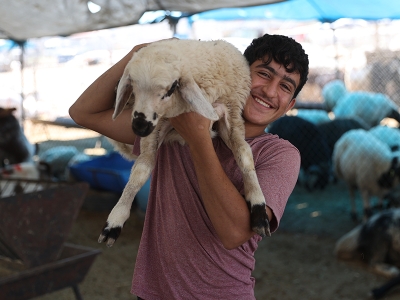 Kurban alırken ve keserken bunlara dikkat edin