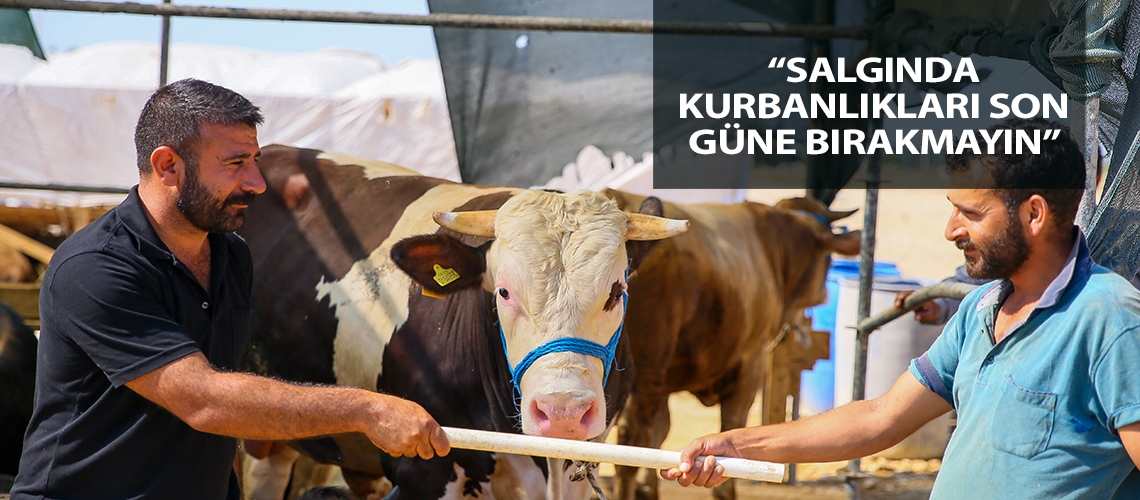 “Salgında kurbanlıkları son güne bırakmayın”