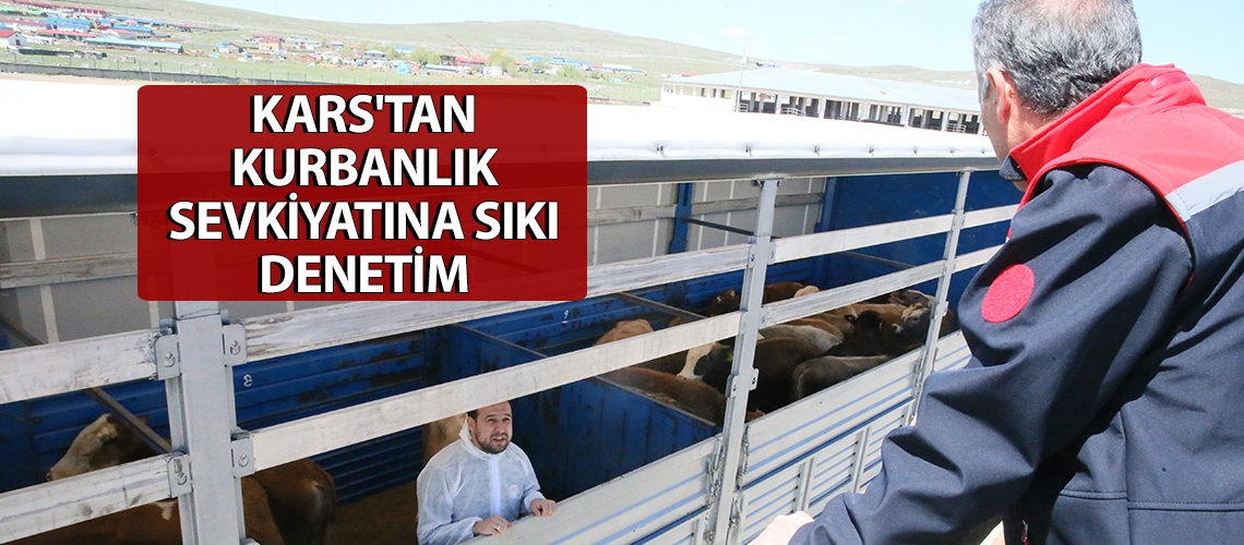 Kars'tan kurbanlık sevkiyatına sıkı denetim