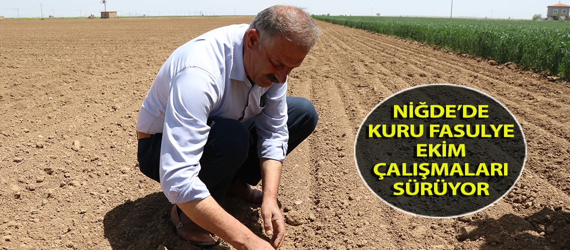 Niğde’de kuru fasulye ekim çalışmaları sürüyor