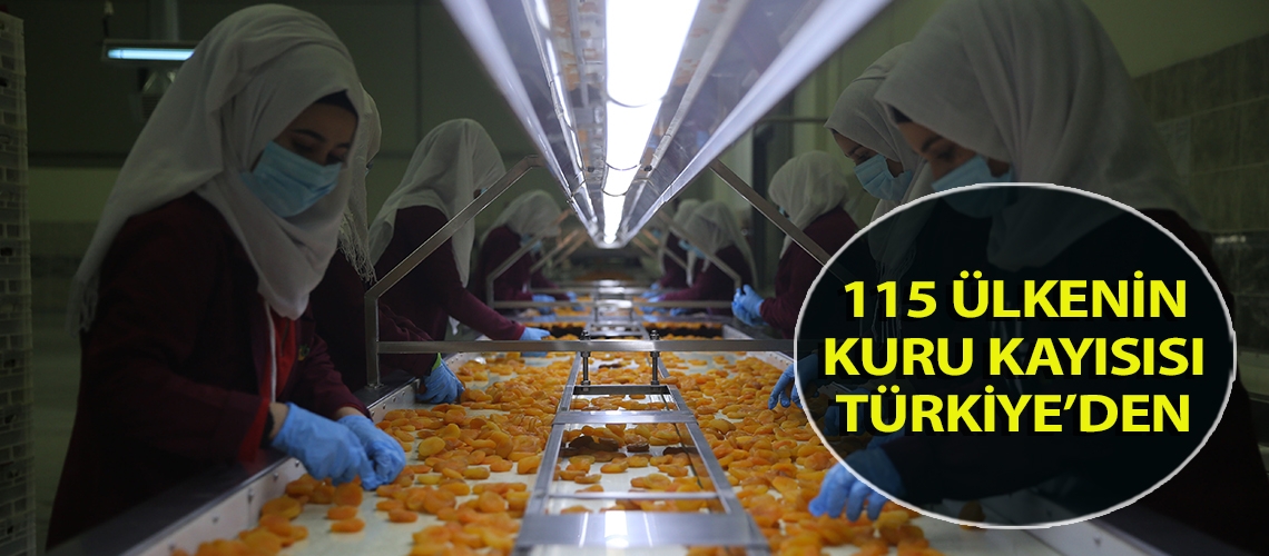 115 ülkenin kuru kayısısı Türkiye’den