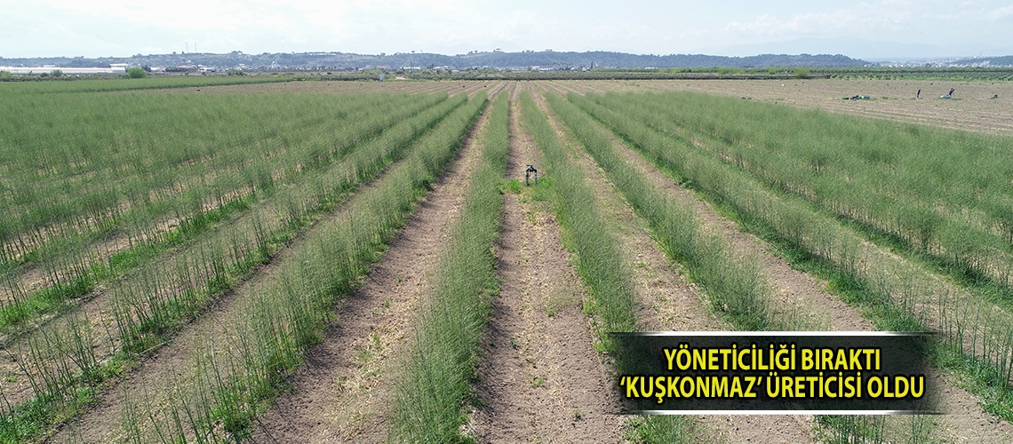 Yöneticiliği bıraktı ‘kuşkonmaz’ üreticisi oldu