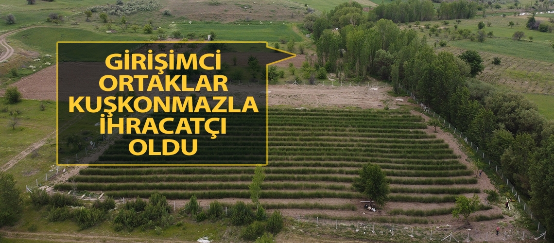 Girişimci ortaklar kuşkonmazla ihracatçı oldu