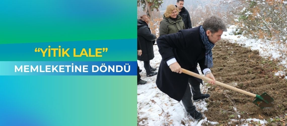 “Yitik lale” memleketine döndü