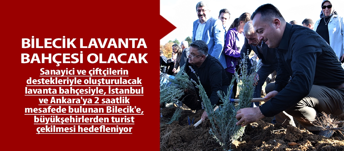 Bilecik lavanta bahçesi olacak