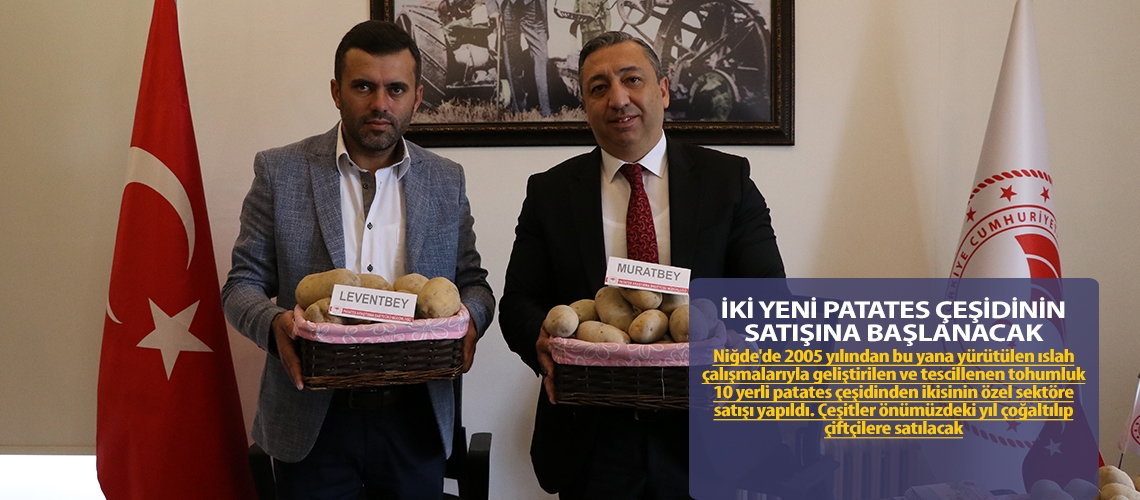 İki yeni patates çeşidinin satışına başlanacak