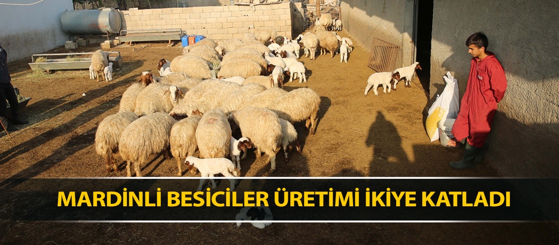 Mardinli besiciler üretimi ikiye katladı