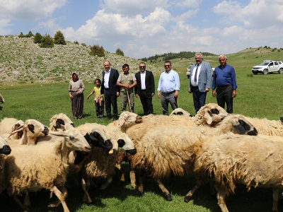 Adana’da modern meralar besicinin hizmetinde