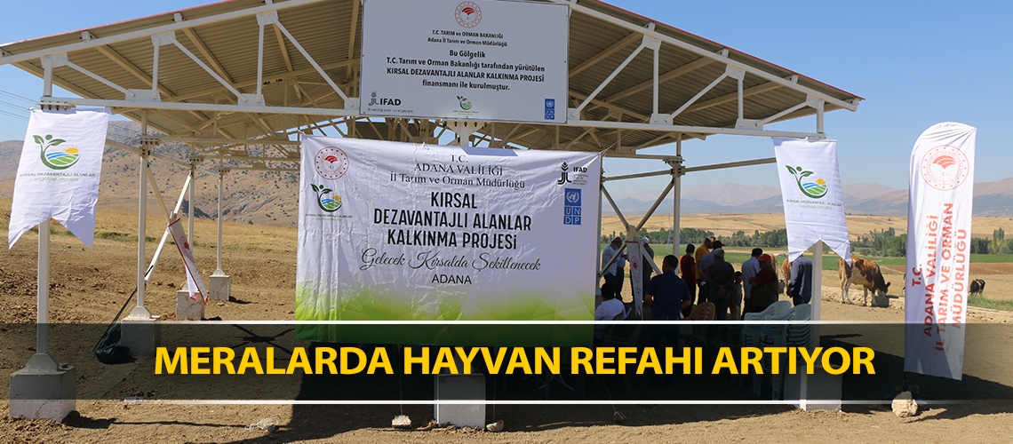 Meralarda hayvan refahı artıyor