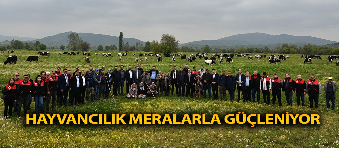 Hayvancılık meralarla güçleniyor