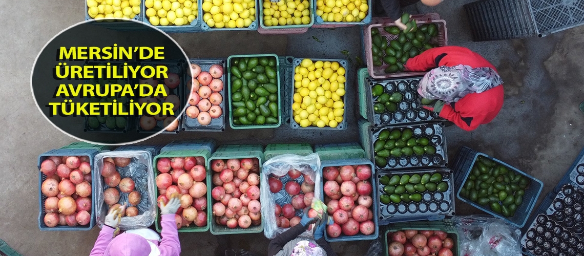 Mersin’de üretiliyor Avrupa’da tüketiliyor