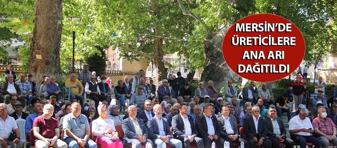 Mersin’de üreticilere ana arı dağıtıldı