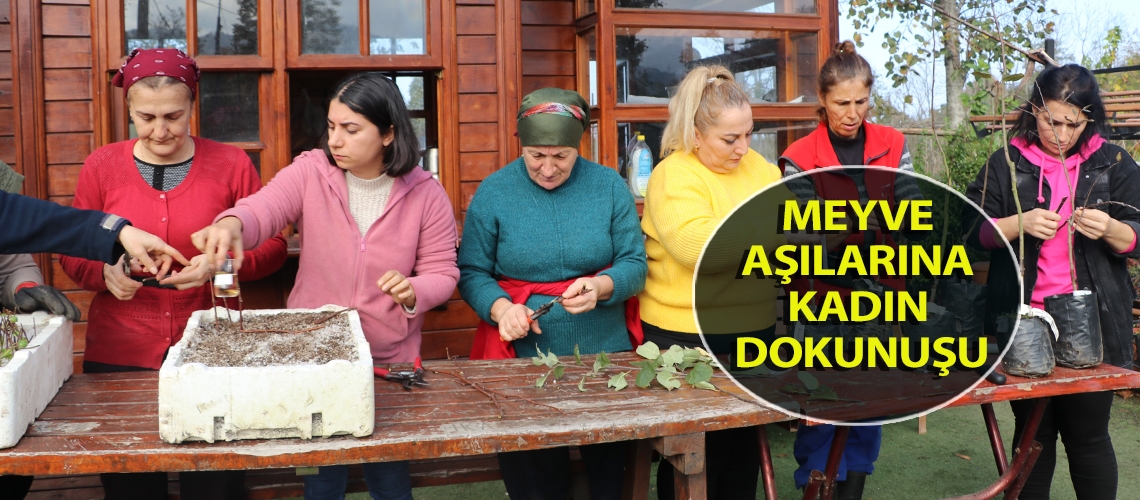 Meyve aşılarına kadın dokunuşu