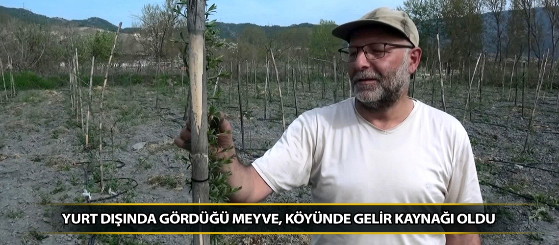 Yurt dışında gördüğü meyve, köyünde gelir kaynağı oldu