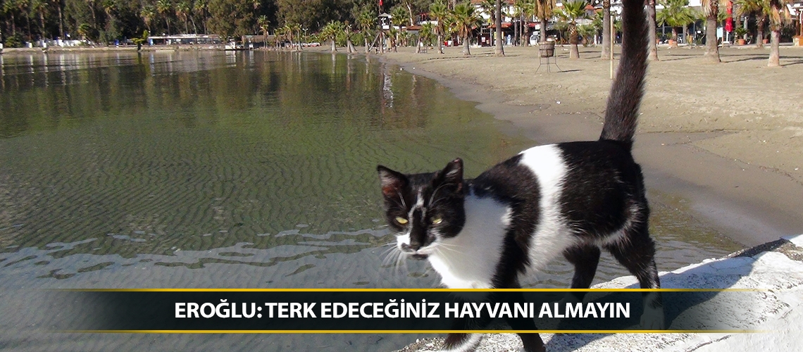 Eroğlu: Terk edeceğiniz hayvanı almayın