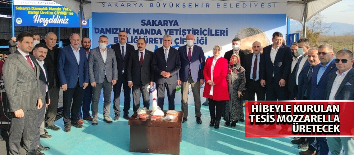 Hibeyle kurulan tesis mozzarella üretecek