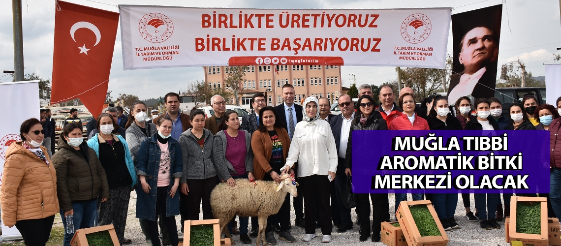 Muğla tıbbi aromatik bitki merkezi olacak