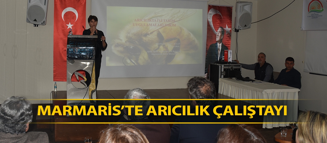 Marmaris’te arıcılık çalıştayı