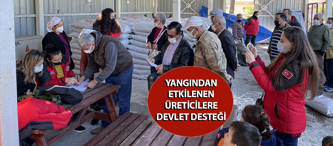 Yangından etkilenen üreticilere devlet desteği