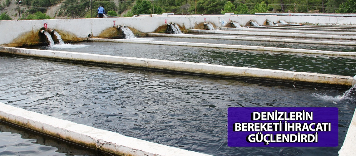 Denizlerin bereketi ihracatı güçlendirdi