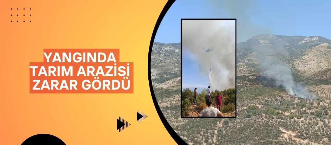 Yangında tarım arazisi zarar gördü