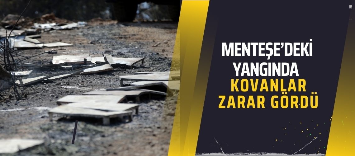 Menteşe’deki yangında kovanlar zarar gördü