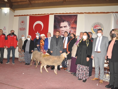 Muğlalı kadınlar hayvancılık sektöründe iddialı