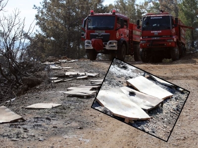 Menteşe’deki yangında kovanlar zarar gördü