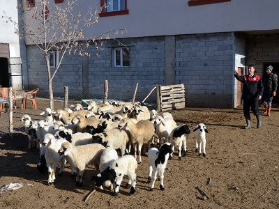 Muş’ta hedef hayvan varlığını artırmak