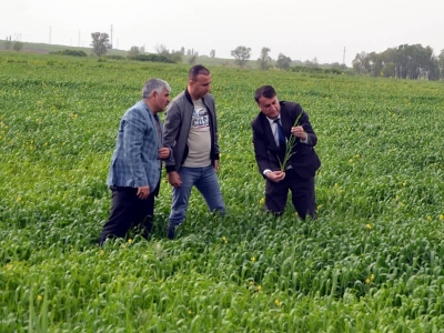 Muş’ta yağmurlar verimde beklentiyi yükseltti