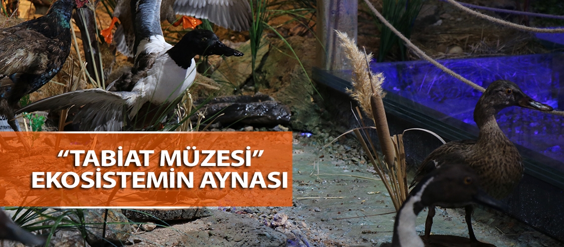 “Tabiat Müzesi” ekosistemin aynası