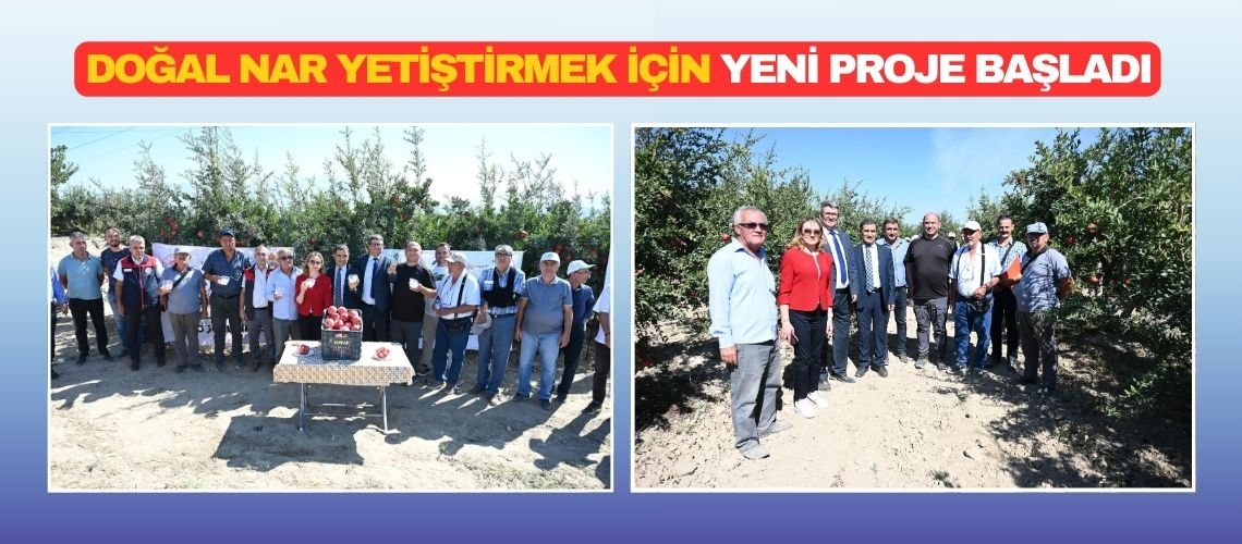 Doğal nar yetiştirmek için yeni proje başladı