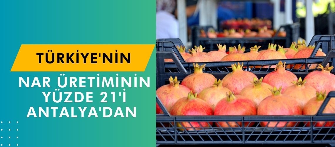 Türkiye'nin nar üretiminin yüzde 21'i Antalya'dan