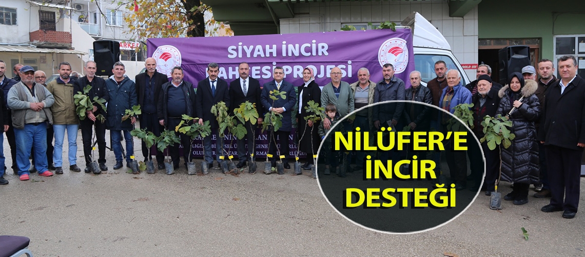 Nilüfer’e incir desteği