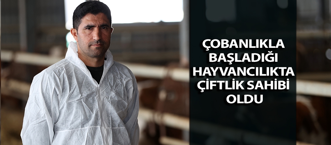 Çobanlıkla başladığı hayvancılıkta çiftlik sahibi oldu