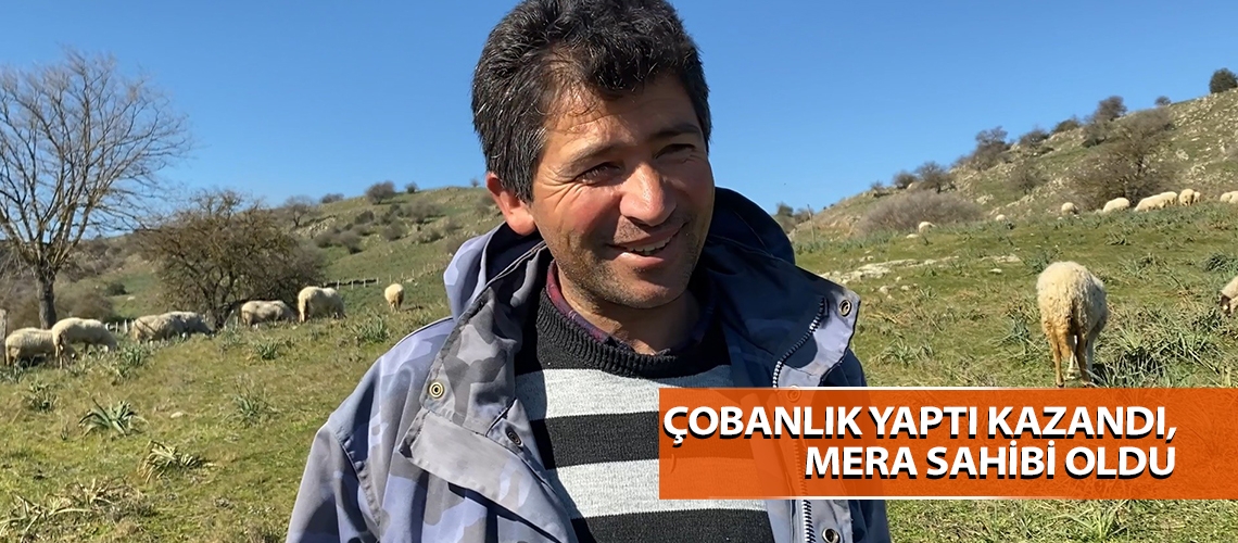 Çobanlık yaptı kazandı, mera sahibi oldu