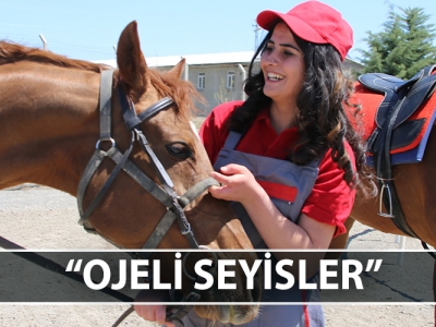 Elazığ’da kadın seyisler