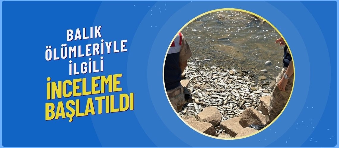 Balık ölümleriyle ilgili inceleme başlatıldı