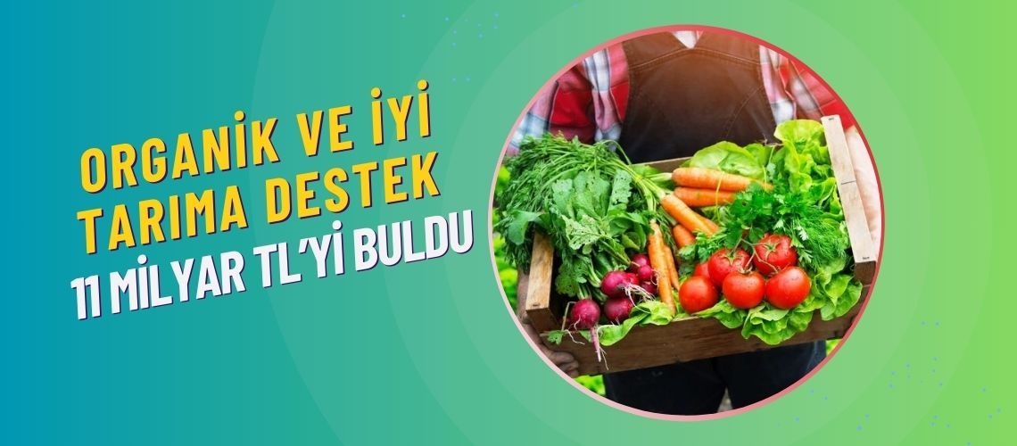 Organik ve iyi tarıma destek 11 milyar TL’yi buldu